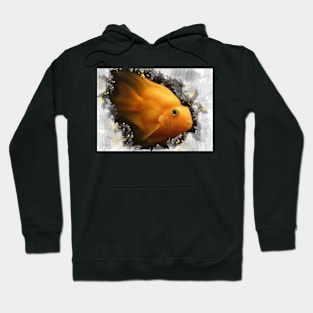 Goldfish Hoodie